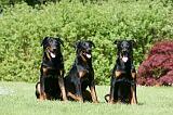 BEAUCERON 915